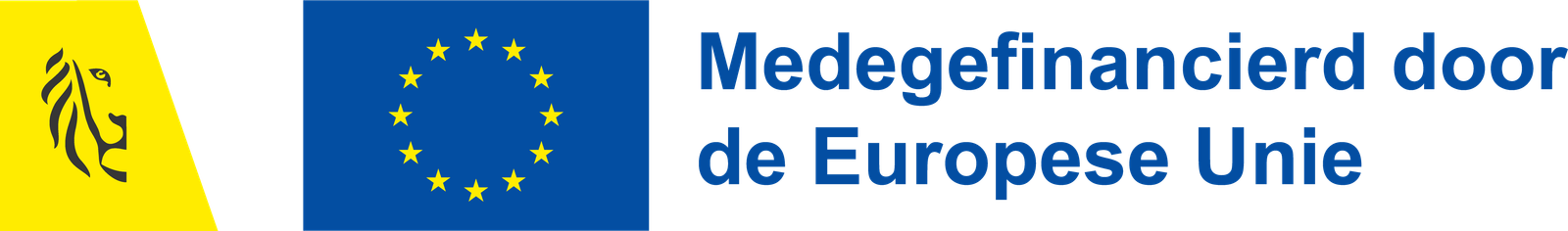 Vlaanderen en Europese Unie — Medegefinancierd door de Europese Unie